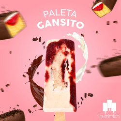 PALETA DE GANSITO